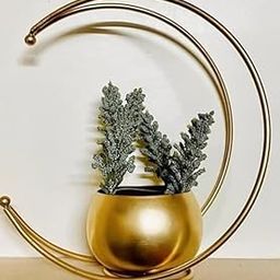 TAJ CREATIVE HANDICRAFTS Half Moon Design Flower Pot Stand Gold Metal Flower Vase for Home and Office Side Table Decoration - Pack of 1 (24x24 CM Centimeters) Item T-1012-image-9