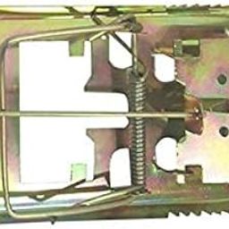Rat, Mouse Snap Traps/Rat, Mouse Killing Machine-picture-24