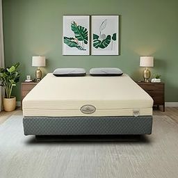 Dreamveda Atharva™ Certified 100% Natural Latex Mattress for Sleeping | 90+ Density Pincore Holes for Orthopedic Support - King Size Medium Comfort (78x72x8 Inches)-image-31