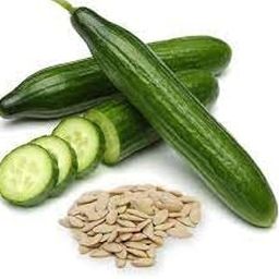 JD AGRO Vegetable Cucumber Green Seeds |home garden Fresh Healthy Seeds in Your Garden Perfect for Home & Terrace Gardening (30 Seeds)-image-47