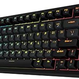 EvoFox Ronin Wireless TKL Mechanical Keyboard (BT+2.4GHz+Wired) | Outemu Red Switches, Gasket Structure, Per-Key RGB, 1000Hz, nKey Rollover, Volume Controller | Windows Software, On-board Memory-5