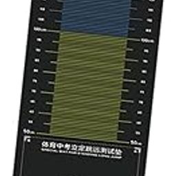 Enakshi (LABEL) Creations Long Jump Mat Nonslip Multifunction Sports Broad for Indoor Outdoor Training Style B-image-4