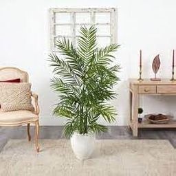 Air purifier plants outdoor oxygen Natural Live A Big Size "Areca Palm" Tree (Pack of 1 With pot) || For Home Garden Tree Outdoor indoor plant-image-96