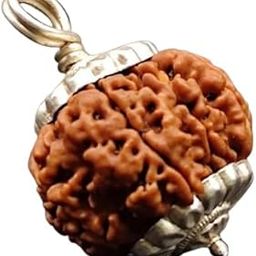 SRT Rudra 8 Mukhi Rudraksha Original Certified with Silver Capping Aath Mukhi Rudraksha 8 Mukhi Rudraksha Nepali Blessed by Lord Ganesh 8 Face Rudraksha Pendant for Men Women-picture-2