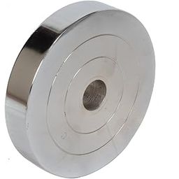 Body Maxx 30 Kg Spare Chrome Steel Weight Plates 15 Kg X 2 Plates-28