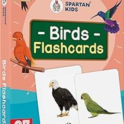 SPARTAN KIDS® Bird Flash Cards for Kids | 27 Early Learning Flash Cards Easy & Fun Way of Learning 1 Year to 6 Years Babies-12