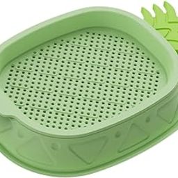 LOOM TREE® Cat Grass Planter Soilless Hydroponics Planting Tray for Garden Cat Supplies Green | Cat Supplies | Cat Grass & Loose Catnip-38