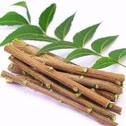 GOSHAN Neem Datun Sticks for Teeth | 100% Natural, Eco-Friendly & Organic Toothbrush | 15-Sticks-image-2