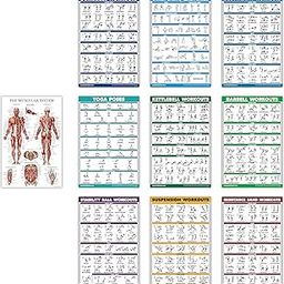 10 Pack - Exercise Workout Poster Set - Dumbbell, Suspension, Kettlebell, Resistance Bands, Stretching, Bodyweight, Barbell, Yoga Poses, Exercise Ball, Muscular System (PAPER, NON LAMINATED,18" x 27")-image-49