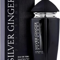 BN Parfums Silver Ginger Long Lasting 100ml Men Perfume, Aquatic, Fresh & Woody, Soothing Fragrance-picture-32
