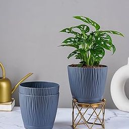 Nurturing Green® Set of 3 Grey 'Tide' Self Watering Plastic Pots (5.5 Inch Wide) with Drainage Holes for Foliage Plants; Suitable for Home & Balcony Decor (Plants & Metal Stand Not Included)-image-27