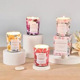 Vervenix Scented Candle Gift Set – 4 Pack Soy Wax Aromatherapy Candles – Long Lasting, Natural Fragrance – Decorative Reusable Jars – Giftable for Home, Spa, Relaxation, Birthday, Holiday-image-3