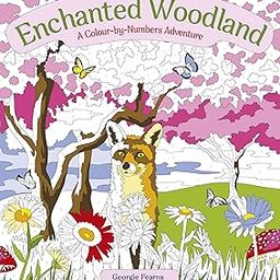 Enchanted Woodland: A Colour-by-Numbers Adventure-image-1