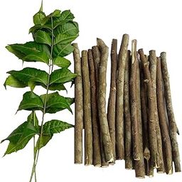 Fresh Guava Datun, 15 Pieces - Amrood Ke Ped Ka Datoon - Guava Datun Sticks For Brushing Teeth-1