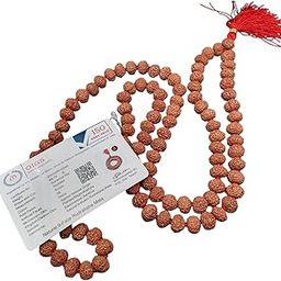 Dharmsaar Energized 9 Mukhi Rudraksha Mala Original Certified for Men and Women, Nepal Natural 9 Mukhi Rudraksha Rosary 108 Beads, Nine Face Faced Rudraksha Japa Kanthi for Pooja Astrology-image-91