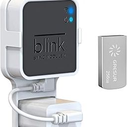 Gresur 256GB USB Flash Drive for Local Video Storage with The Blink Sync Module 2 Mount (Blink Add-On Sync Module 2 is NOT Included)-28