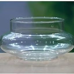 AYUTAS Clear Glass Bowl Planter, Wide Round Shape Potpourie for Plants, 5 Layer Lucky Bamboo Plant Pot for Balcony, Bedroom, Table, Office & Home Decoration - Pack of 1 Piece, 6 Inches-image-45