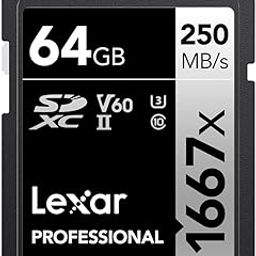 Lexar Professional 1667x 64GB SDXC UHS-II/U3 Card (LSD64GCBNA1667)-29