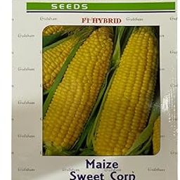 Gulshan Seed Farm Sweet Corn F1 Hybrid Seeds (Maize, Makka) | High-Yield Vegetable Seeds for All-Season Planting | Ideal for Home & Kitchen Gardening-image-88