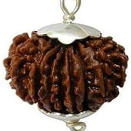 BluDiamond Lab Certified 17 Mukhi Rudraksha Nepali Pure Seventeen Mukhi Rudraksha 17 मुखी रुद्राक्ष Oval 17 Faced Rudraksha Genuine Satrah Mukhi Rudraksha Blessing Goddess Katyani For Jaap-picture-29