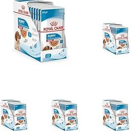 Royal Canin Puppy for Stage 3 Puppies, Puppy Food, 140 Grams, Pack of 50 Sachet, Wet Food, Supports Strong Immunity System & Brain Health, Promotes Overall Development-image-43