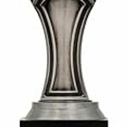 Trophy MART Zenith Star Metal Body & Wooden Base Corporate TrophyFor Leadership Business Service Achievement Awards | Promotional Event Trophies | (Colour : Antique Silver)(11.75") TMF-1023-picture-19