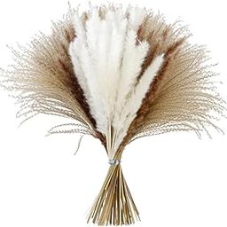 UJEAVETTE Natural Pampas Grass Bouquet Reed for Desk Photographing Flower Arrangements Style C-image-42