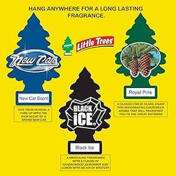 Little Trees Car Air Freshener 3PC Combo | Hanging New Car Scent, Royal Pine, Black Ice (Pack of 3)-3