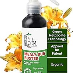 Pot and Bloom Mealy Bug Buster Spray 250 ML | Natural Germs and Fungus Killer for Plants| No Harmful Chemicals| Indoor & Outdoor Plants| Ready to Use|Helps in Plant Growth-15