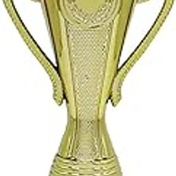 Idora Prints Personalised Trophy Award | Corporate Trophy with Logo & Text | Winner Trophy for Employees, Students & Business Associates | Fiber Material | (33.02 CM)-image-2