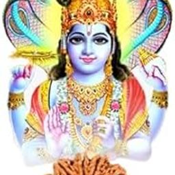 Retrend Design® दश मुखी रुद्राक्ष AAA+++ Rated Precious Dus Mukhi Rudraksha Original Certified Best 10 मुखी रुद्राक्ष Geniune Nepali 10 Faced Rudraksh Non Trated Pure 10 Mukhi Rudraks 10 Moge-picture-23