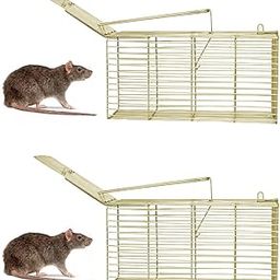 Rat Trap Cage Large, Set of 2, Metal Wire Mesh, with Trap Doors-picture-9