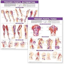 Trigger Point Chart Set: Torso & Extremities Paper: Torso and Extremities-10