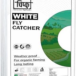 Chipku A4 White Sticky Trap for Insects Pack of 25 Sheets| for Garden & Agriculture to Control Whiteflies, Aphids, Thrips, Jassids| Fly Catcher Insect Catcher Glue Trap for 100% Results-image-10