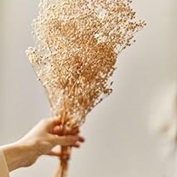 CLOUD INDIA Decorative Ferns Naturally Dried Flower for Vase Filler for Home Indoor Office Decor (White)-image-21