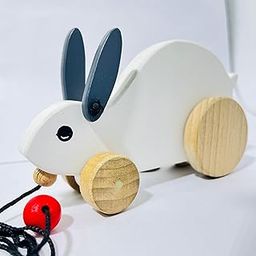 SMARTOYS | Wooden Toys | Fun & engageing | Eco-Friendly Colors & Materials | Toy for Kids 3+ Years (Rabbit)-picture-22