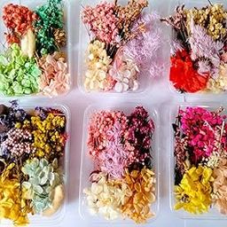 iKalaa® Natural Dry Flowers (1 Box Random) | Resin Art | Nail Art | Card & Candle Making | Craft | DIY-image-59