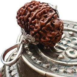 Astro Cart 8 Face Nepal Rudraksha Natural 8 Mukhi Rudraksha Pendent 8 मुखी रुद्राक्ष ओरिजिनल आठ मुखी नेपाळी रुद्राक्ष Eight Mukhi Rudraksha Real Aath Ashta Mukhi Rudraksha Original Certified-6