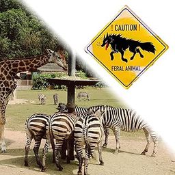 ATORSE Feral Animal Metal Sign Yard Sign Multipurpose Creative for Lawn Street Farm-image-79
