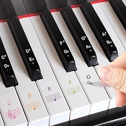 FlybuyHub Piano Stickers Labels for 37, 49, 54, 61, 88 Keys Keyboard, Waterproof Scratch Resistant Piano Removal Stickers (Coloured Transparent)-30