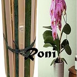 Roni Bamboo Sticks Small 70cm (2.25 feet) | Supporting Plants to Stand | Ideal for Supporting Plants and Flowers | Natural Garden Sticks | Plant Holder Sticks | Flexible and Durable | 20 Pcs-image-86