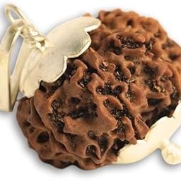 9 Face Rudraksha Nepal नौ मुखी रुद्राक्ष Nau Mukhi 9 Mukhi Rudraksha Original With Certificate Pure Nine Mukhi Rudraksah For Pendant-picture-51