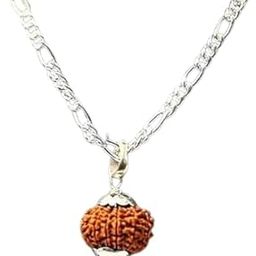 13 Mukhi Rudraksha Nepali Origin AA++ Quality 13 Face Rudraksha Original Certified Natural Rudraksha Brown Bead Real Terah Mukhi Rudraksha Pendant For Men & Women 13 मुखी रुद्राक्ष नेपाली-picture-9