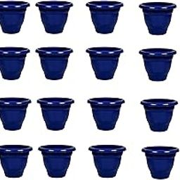 Garden Gamla 8 Inch 24 PCS-image-86