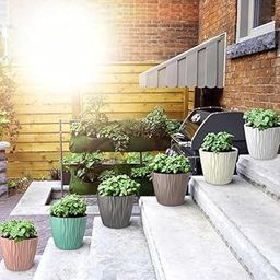 SR Store Plastic Round Flower Pots with Drainage Hole Saucers | Durable Outdoor Indoor Wave Pattern Planters with Tray | Plant Containers for Balcony, Garden, Office, and Home (Set of 5, Multi Color)-image-114
