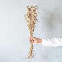Gold Lino Grass | Dried Flower Boquet| Eco-Friendly Flowers for Home Dcor | Vase Filler for Home-image-27