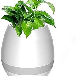 Raptas (Limited 9 Year Warranty Smart Flower Pots Music Bluetooth Speaker with Touch Sensors and LED Decoration Night Light-4