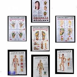 WellieSTR 7 Stlye Body Point Wall Chart Diagram,Human Stimulation Therapy 45x65cm-image-40