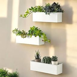ecofynd Rectangular Metal Wall Hanging Plant Pot, Decorative Modern Indoor Planter Flower Pots, Home Garden Decor Planter for Living Room Bedroom Interior (White, Pack of 3, POT043)-image-41