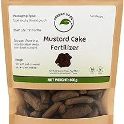 ECOBAN YARN Mustard Cake Fertilizer 500 gm – Sarso Khali Organic Soil Conditioner & Natural Plant Food – Growth Booster for Flowering, Fruiting & Vegetables-image-58